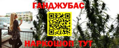 крисы Анапа