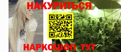 крисы Анапа