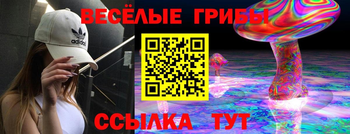 Галлюциногенные грибы GOLDEN TEACHER  Вход с VPN  Джанкой 
